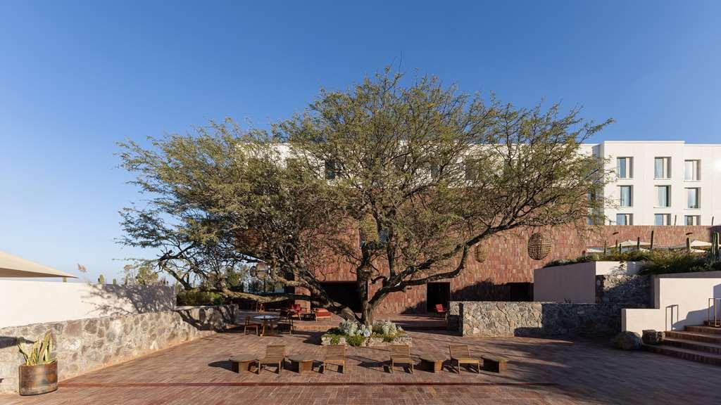 Albor San Miguel De Allende Tapestry Collection By Hilton Exterior foto